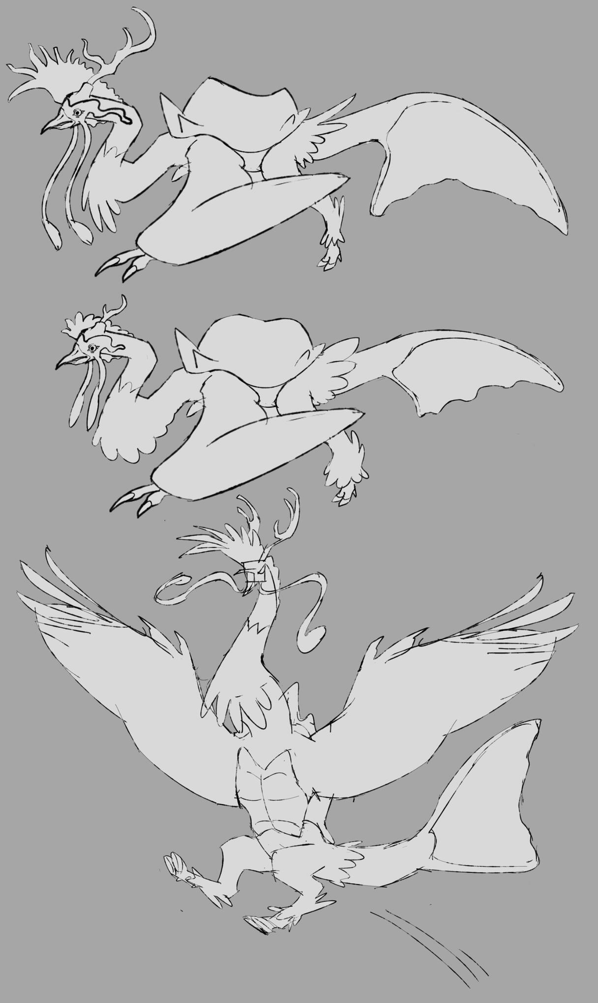 Sketches for Fenghuang sexual dimorphism.